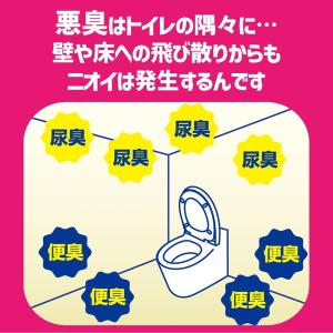 (あわせ買い1999円以上で送料お得)大日本除...の詳細画像2