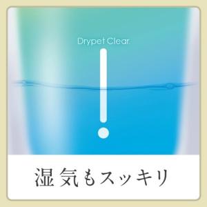 (あわせ買い1999円以上で送料お得)ドライペ...の詳細画像5