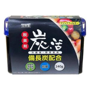 (あわせ買い1999円以上で送料お得)ライオン マジックフィルター 炭活 冷蔵庫・野菜室用 脱臭剤 240g