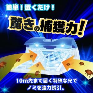 (あわせ買い1999円以上で送料お得)アース・...の詳細画像2