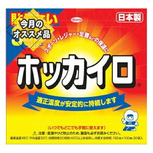 興和 ホッカイロ 貼らない レギュラー 30個