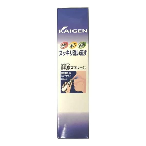 【あわせ買い1999円以上で送料お得】カイゲンファーマ カイゲン 鼻洗浄スプレーG 200ml