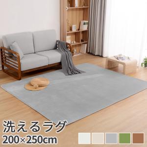 【廃番】ラグ カーペット 北欧 あったか 暖かい オールシーズン Ｌ 約3畳 200 250 ホットカーペット対応 床暖房対応 冬 ラグカーペット フランネル