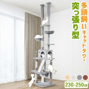 キャットタワー 突っ張り E スリム 木登り おしゃれ かわいい