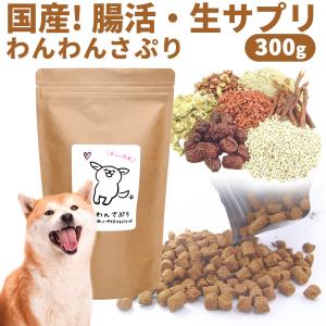 【廃番】わんわんサプリ 犬 サプリメント 300g 犬 サプリ 腸内環境 おやつ ペット アレルギー シニア犬 高齢犬 うんち お腹 シニア犬 無添加 無着色 下痢 皮膚