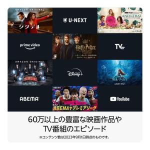 Amazon Fire TV Stick 4K...の詳細画像4