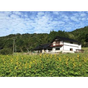 山田のはぶ草茶 ティーバッグタイプ2.5g×5...の詳細画像2