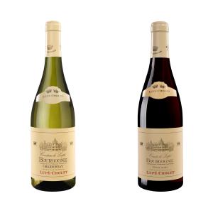 フランス ブルゴーニュ 赤白ワイン セット 銘醸ワイナリー お買い得2本組 地方名クラス ルペ ショーレ社