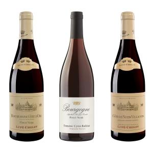 フランスワイン ブルゴーニュ コートドールのピノノワール種 赤ワイン セット お得な飲み比べ 3本組 送料無料｜homekitchenonline