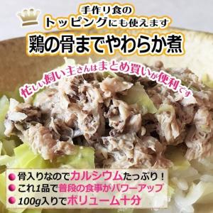 爆買 腎不全の子のための手作り食 オーダーペー...の詳細画像2
