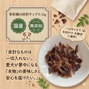 北海道産】ペット/エゾシカ肉/鹿肉/シカ肉 鹿のおやつ/アキレス腱 30g
