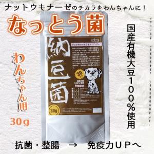 犬用 納豆菌パウダー 30g  腸内環境改善 プロバイオティクス 犬