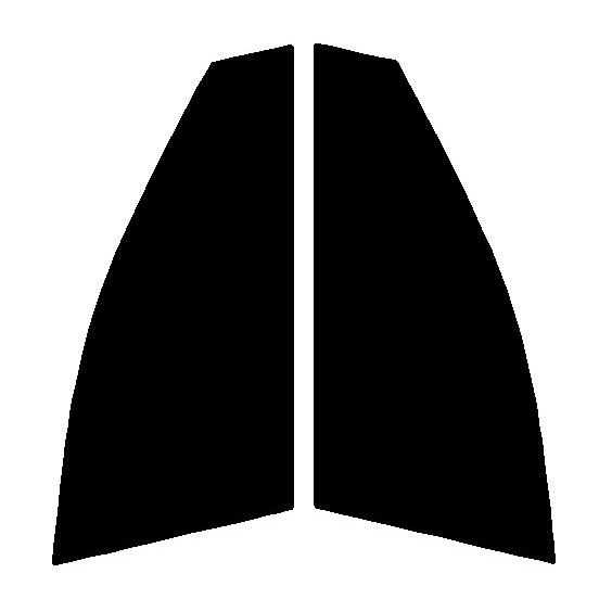 スパッタゴールド　運転席・助手席　LS　500　VXFA50・VXFA55　カット済みカーフィルム　...