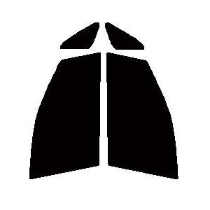 スパッタゴールド80(82%)　50cｍ×3ｍ 切売　切り売り スパッタゴールド80(82%) 50cm×3m 切売 切り売り Amazon.co.jp: 株式