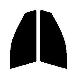 断熱クリアー 運転席、助手席用 トヨタ マークX GRX130・GRX133