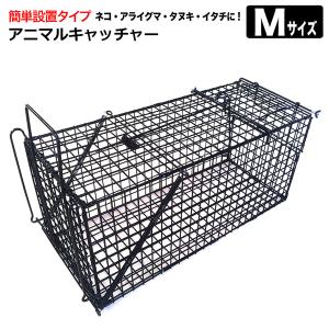 丸十金網 猫の保護器 踏板式 : ねっとんや - 通販 - Yahoo!ショッピング