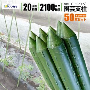 SHINSEI (50本セット) 園芸支柱 (十字キャップ付) イボ付 鋼管竹 φ20mm