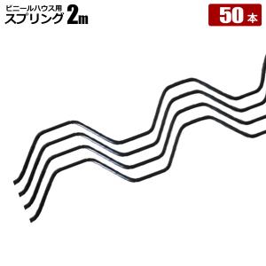 SHINSEI ビニペットスプリング 250本 樹脂コート 被覆 黒 SHINSEI ビニペットスプリング 250本 樹脂コート 被覆 黒