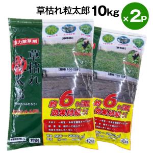 KINCHO園芸 除草剤 クサノンGT粒剤 400g 4975292601661 雑草対策 雑草