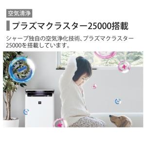 シャープ 空気清浄機 加湿器 KI-TS50-...の詳細画像3