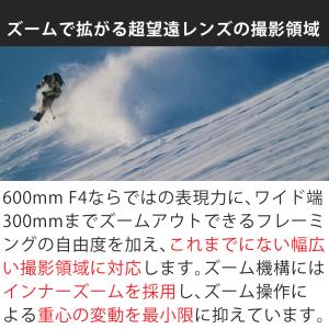 (レビュー特典あり)シグマ 300-600mm...の詳細画像3