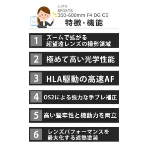 レビュー特典有 シグマ 300-600mm F...の詳細画像2