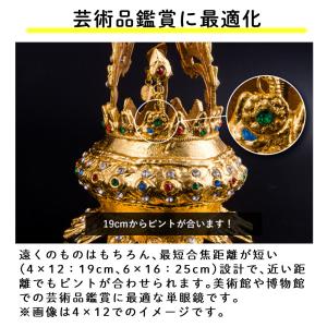 ケンコー 単眼鏡 4倍 ギャラリーEYE 4×...の詳細画像3