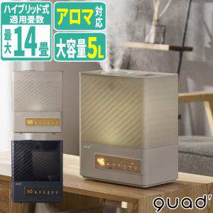 QUADS ガラススチーム加湿器 グラス アイボリー QS649IV M41003 ギフト