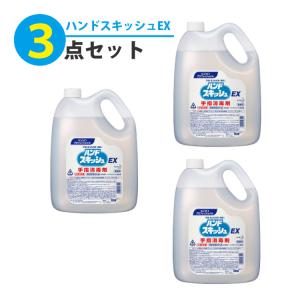 花王 ハンドスキッシュ EX 4.5L 3本セット 業務用（ラッピング不可）