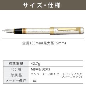 プラチナ万年筆 PP-100000M 銀無垢鍛...の詳細画像4