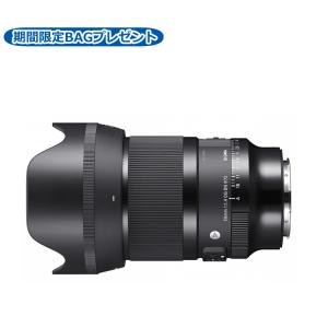 （レビューでレンズキャッププレゼント） バッグ付き シグマ 50mm F1.4 DG DN（A） ライカLマウント用｜homeshop