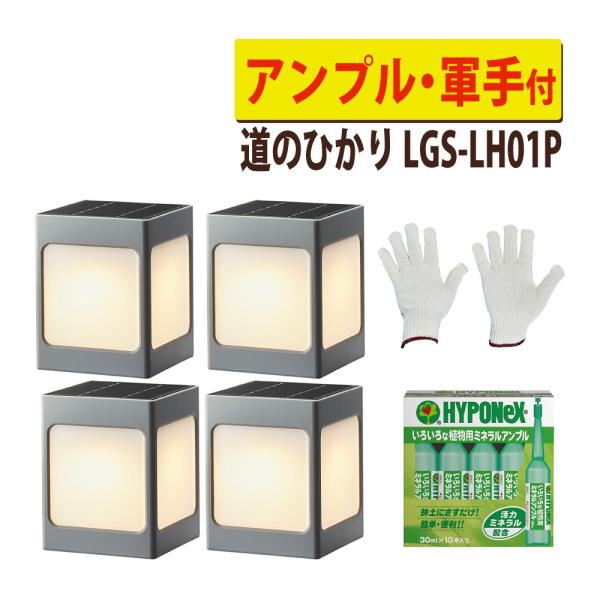 タカショー LGS-LH01P ブラック ひかりノベーション SUNCHARGE 道のひかり 2点 ...