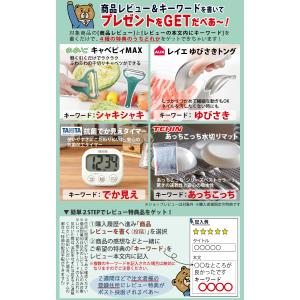 レビュー特典有 フィルター2個入 シマ株式会社...の詳細画像2
