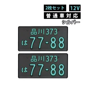 2枚セット 普通車用 12V ガンメタ 字光式ナンバープレート 井上工業