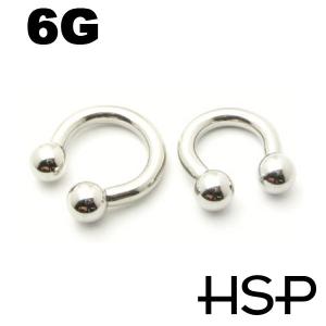 ボディピアス サーキュラーバーベル 6G ボディーピアス｜homeslicepro