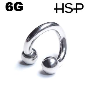 ボディピアス スパイラルリング 6G tibnp ボディーピアス｜homeslicepro