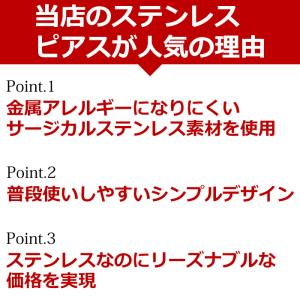 サージカルステンレス ピアス 金属アレルギー対...の詳細画像1