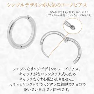 ピアス 金属アレルギー対応 レディース メンズ...の詳細画像1
