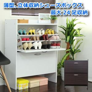 下駄箱 シューズボックス 省スペース スリム 薄型 フラップ 扉 ２段   SAV043