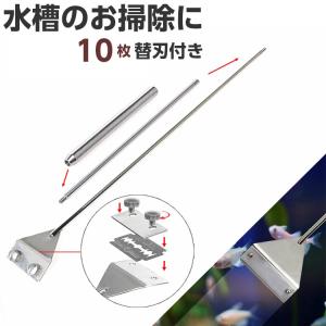 スクレーパー 水槽 プロレイザー苔 コケ 取り 掃除 除草 除去 約66ｃｍ 替え刃付 10枚付きクリーニング ケア セット アクアリウム ガラス面掃除 熱帯