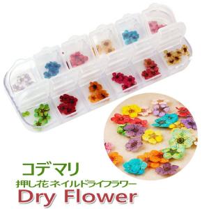 春ネイル ドライフラワー 本物の押し花１２色入り