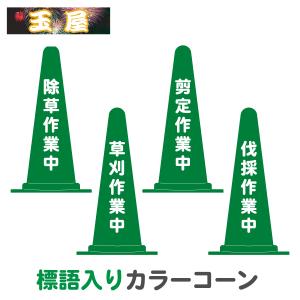 TRコーン カラーコーン 三角コーン 赤/黄/黄緑/青(3.5kg) 三角ポール