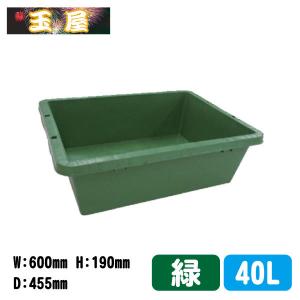 青舟(大) プラ製金魚・メダカ用飼育容器 水容量：約32リットル