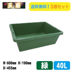 プラ箱 緑 プラ舟 40L コンテナ 農業用 プラ船 トロ舟 野菜洗い