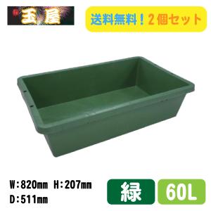 トロ舟 プラ箱 プラ舟(緑/80L)コンテナ 農業用 プラ船 野菜洗い