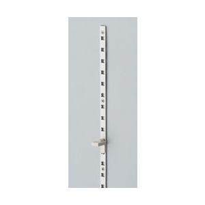 ランプ　スガツネ工業　AP-DM1820　シルバー　アルミ製棚柱　面付　可　120-030-086