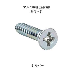 ランプアルミ棚柱用 十字穴皿ねじ 16mm《B-...の商品画像