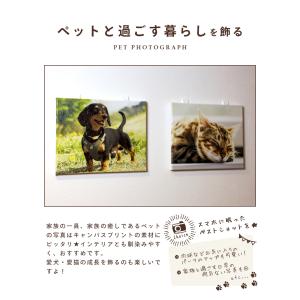 キャンバスプリント 写真 キャンバス 写真パネ...の詳細画像5