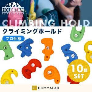 クライミング ホールド 「10個」 数字 プロ仕様 ボルダー