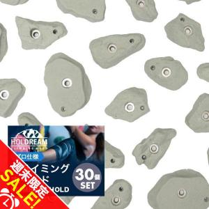 クライミング ホールド 「30個」 岩 グレー プロ仕様